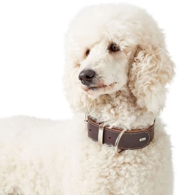 Thumbnail 7: HUNTER Halsband Aalborg Special L-XL (70), dunkelbraun