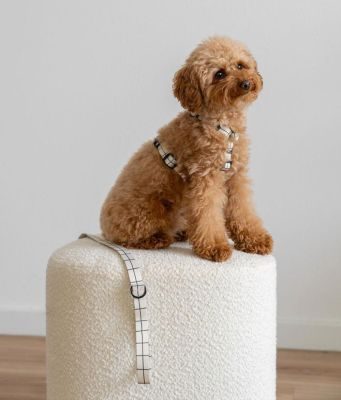 Thumbnail 7: CAFIDE Recyceltes PET-Geschirr, Juno