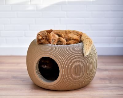 Thumbnail 5: cat-on BILLE, runder Katzenkorb mit Katzenhöhle