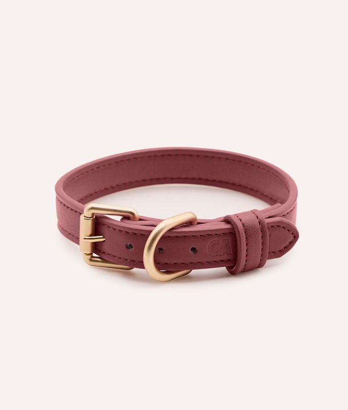 CAFIDE Hundehalsband aus Veganem Leder, Jala