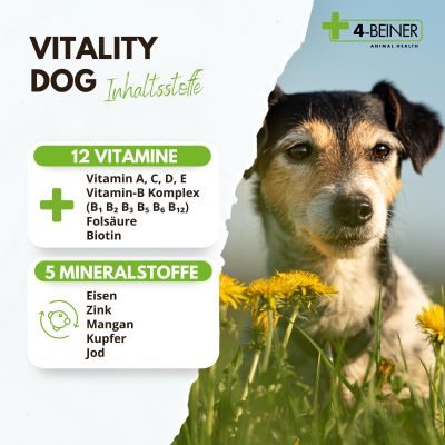 Thumbnail 2: 4-Beiner 4-BEINER VITALITY-DOG - Nahrungsergänzung - Futterergänzung für Hunde
