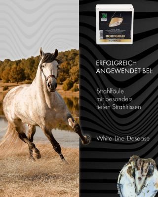 Thumbnail 4: Hoofgold Hornpad für Pferde - Strahlpflege bei Strahlfäule, zum Eindrücken in die Strahlfurche, Inhalt 10 Pads