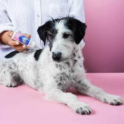 Thumbnail 3: Tierliebhaber Z-Spot für Hunde - Gegen Zecken & Flöhe