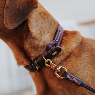 Thumbnail 10: HUNTER Halsband Malia M (55), brombeer/dunkelbraun