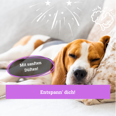 Thumbnail 3: BeG Buddy Umgebungsspray Relax Hunde / Katzen