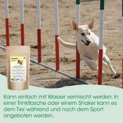 Thumbnail 2: cdVet EnergyUp 450 g – Elektrolyt- und Mineralstoffpulver für Sporthunde zur Regeneration