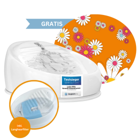 Lucky-Kitty Keramikbrunnen + Premium-Zubehoer