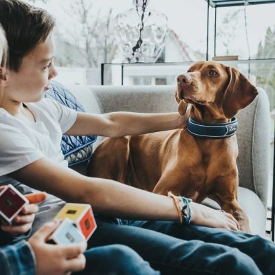 Thumbnail 4: HUNTER Halsung Divo S, dunkelblau/grau