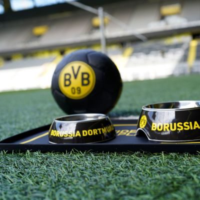 Thumbnail 9: HUNTER Melamin-Napf BVB 700 ml, schwarz/gelb