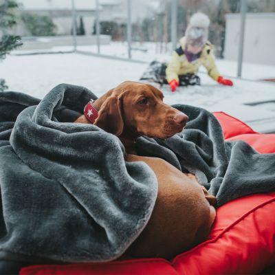 Thumbnail 5: HUNTER Halsband Magic Star M (55), rot/schwarz