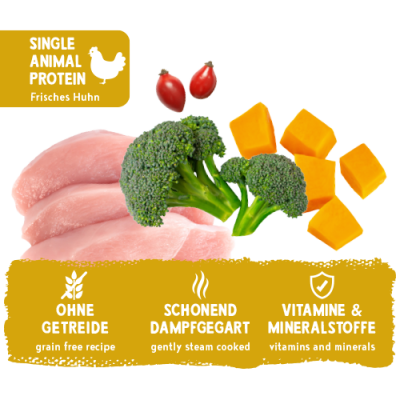 Thumbnail 3: bosch Tiernahrung Freshe Schnauze Huhn mit Kürbis & Brokkoli 12er Pack