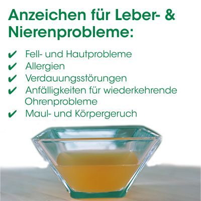 Thumbnail 2: cdVet Toxisan 50 ml – Natürliche Futterergänzung zur Unterstützung von Leber und Nieren