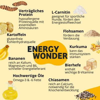 Thumbnail 3: BugBell High Energy Nassfutter mit Insekten für Sporthunde