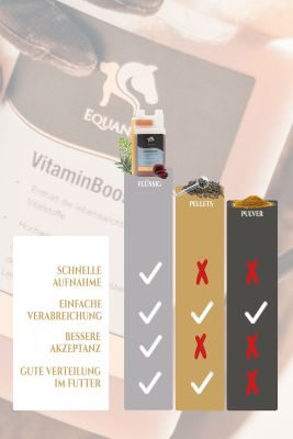 Equanis VitaminBooster - Vitaminsaft für Pferde