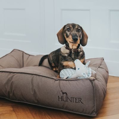 Thumbnail 2: HUNTER Hunde-Steppbett Lancaster M (80 x 60 x 18 cm), braun