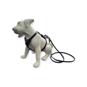 LOCKness Hunde-Diebstahlsicherung schwarz M