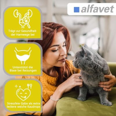 Thumbnail 3: alfavet FeliGum Struvit 160 g