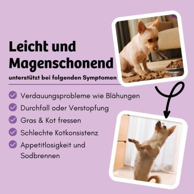 Thumbnail 4: BugBell Trockenfutter mit Insekten für Magen & Darm