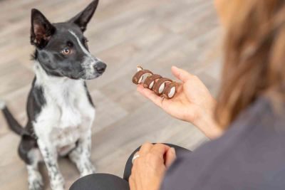 Thumbnail 4: TRIXIE Denta Fun Beef Chewing Curl, lose