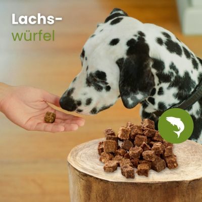 Thumbnail 3: kauartikel.com Lachs-Würfel - Hunde-Kauartikel - Hunde-Snack - Kausnack - Fisch-Leckerli