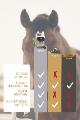 Thumbnail 4: Equanis BronchoActive - Für eine natürliche Atemfunktion bei Pferden