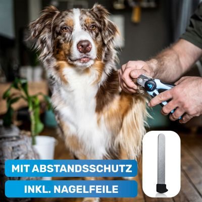 Thumbnail 4: BluePet Krallenschere mit Schutzplatte für kleine & große Hunde & Katzen I Einsteigerfreundlich I Krallenzange auch für Anfänger