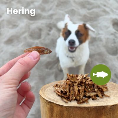 Thumbnail 3: kauartikel.com Hering - Hunde-Kauartikel - Hunde-Snack - Kausnack - Fisch-Leckerli