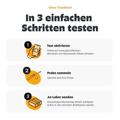 Thumbnail 4: Pezz Kotprofil für Hunde - 3in1 Test für eine umfassende Kotuntersuchung