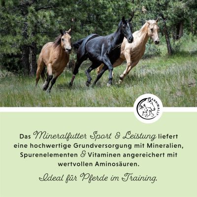 Thumbnail 4: annimally Mineralfutter Sport & Leistung