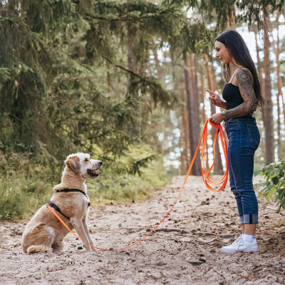 Thumbnail 2: Rudelkönig Schleppleine 5m Stoff Schleppleine für Hunde mit Griffpolsterung, Robuste Hundeleine