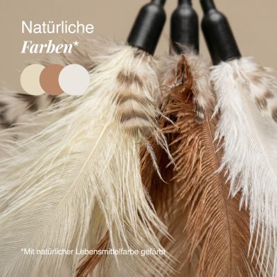 Thumbnail 8: SCHLITZOHR Katzenangel Ersatzfedern 5er Strauß