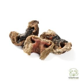 kauartikel.com Rinder-Nasen mit Haut und Fell - Hunde-Kauartikel - Hunde-Snack - Kausnack - Leckerli vom Rind