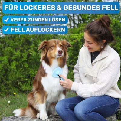 Thumbnail 3: BluePet Selbstreinigende Zupfbürste, Hundebürste & Katzenbürste für Langhaar, ZupfZeug mit Reinigungsknopf für die tägliche Anwendung im Fellwechsel