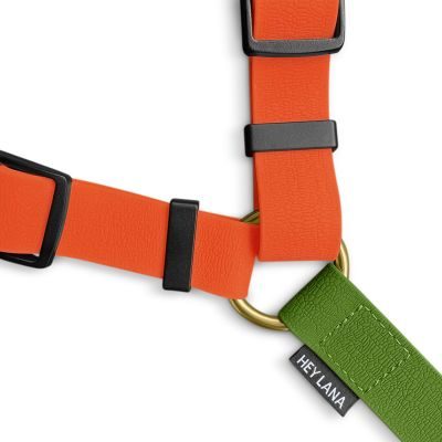 Thumbnail 7: Hey Lana Führgeschirr - Outdoor FLEX - 5-fach verstellbar mit Haltegriff Neonorange / Grün / S