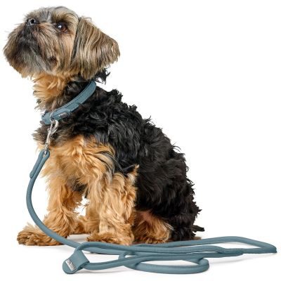 Thumbnail 7: HUNTER Halsband Soho Mini XXS-XS (27), hellblau