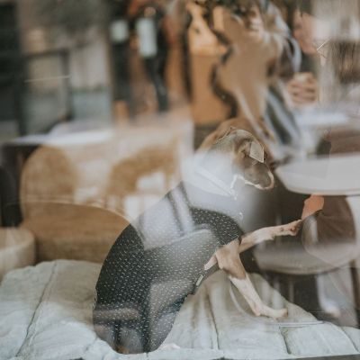 Thumbnail 11: HUNTER Hunde-Reisedecke Rockford XL (120 x 80 cm), anthrazit/hellgrau