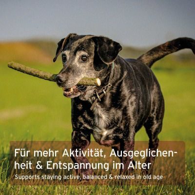 Thumbnail 4: AniForte Senior Active