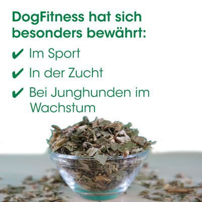 Thumbnail 5: cdVet DogFitness 600 g – Natürliche Futterergänzung für aktive Hunde