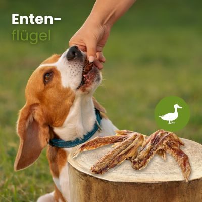 Thumbnail 3: kauartikel.com Enten-Flügel - Hunde-Kauartikel - Hunde-Snack - Kausnack - Leckerli