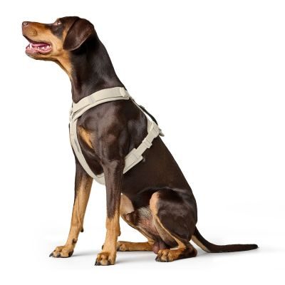 Thumbnail 3: HUNTER Geschirr Maldon Up Limited Edition S-M, greige