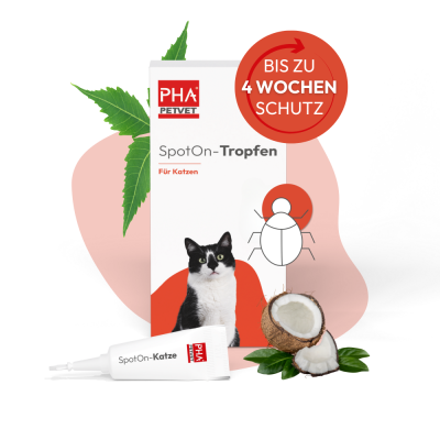 Thumbnail 1: PHA PetVet - PHA Spot-onTropfen für Katzen 2 x 1,5 ml - Parasitenschutz - zur äußerlichen Anwendung