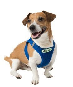 dogogo Softgeschirr für Hunde M blau