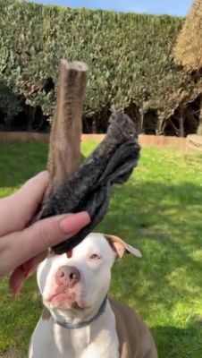 Thumbnail 7: kauartikel.com Rinder MIX TÜTE - Hunde-Kauartikel - Hunde-Snack - Kausnack - Leckerli