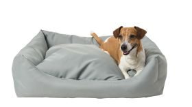 INT4BELUA Bett DOMINO Gr. M