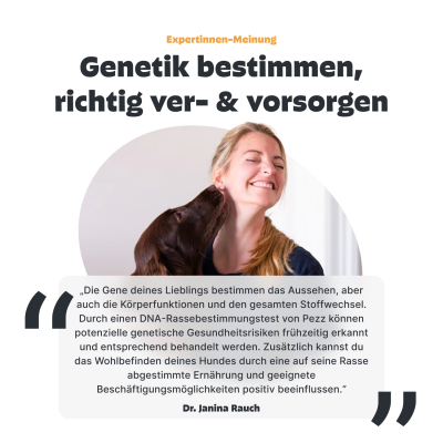 Thumbnail 4: Pezz Hunde Rassebestimmungs DNA-Test | Resseanalyse auf 1% genau