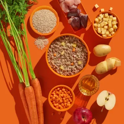 Thumbnail 2: FRED & FELIA FRED Hundenassfutter getreidefrei Pute mit Kartoffeln 10x 390g