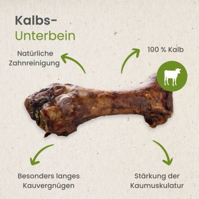 Thumbnail 4: kauartikel.com Kalbs-Unterbein - Hunde-Kauartikel - Hunde-Snack - Kausnack - Kälber-Leckerli  (Rind)