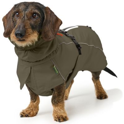 Thumbnail 7: HUNTER Hundemantel Nordby Dachshund 33, oliv