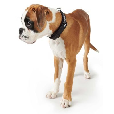 Thumbnail 4: HUNTER Halsband Softie Triluxe S-M (50), schwarz