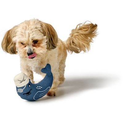 Thumbnail 3: HUNTER Hundespielzeug Sansibar Kampen Robbe 16 cm